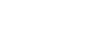 Disney Program Button